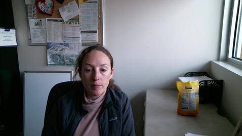 Thumbnail for Video Recording - Fri Feb 27 2026 09:40:06 GMT-0700 (Mountain Standard Time)