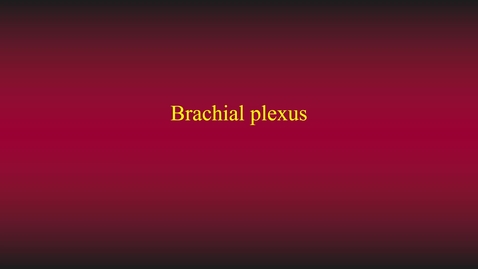 Thumbnail for entry Brachial plexus