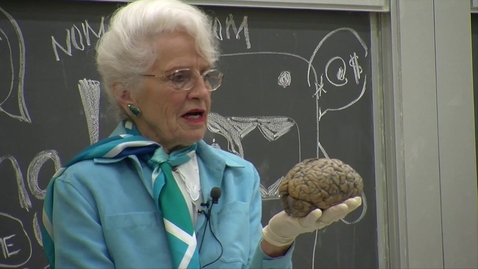 Thumbnail for Bullfrog Films presents...MY LOVE AFFAIR WITH THE BRAIN