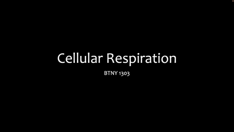 Thumbnail for entry 1303- Cellular Respiration