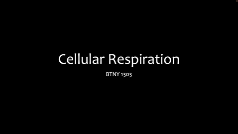 Thumbnail for 1303- Cellular Respiration