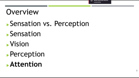 Thumbnail for Sensation &amp; Perception Part 2  - Quiz