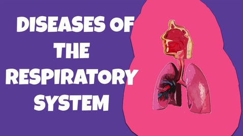 Thumbnail for entry HTHS 1101 F09-03 Diseases of the Respiratory System Video with Questions