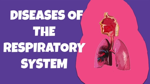 Thumbnail for HTHS 1101 F09-03 Diseases of the Respiratory System Video with Questions