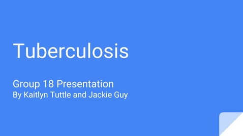 Thumbnail for presentation TB slide show with audio final