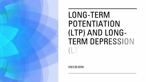 Thumbnail for SP26_NEUR3950 LTP_LTD