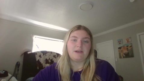 Thumbnail for Video Recording - Sun Jan 26 2025 15:29:05 GMT-0700 (Mountain Standard Time)