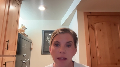 Thumbnail for Video Recording - Sun Jun 01 2025 14:28:25 GMT-0600 (Mountain Daylight Time)