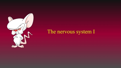 Thumbnail for entry Nervous system Ia lecture