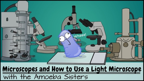 Thumbnail for Pre-Lab 1 Assignment: How to Use a Light Microscope Video with Questions