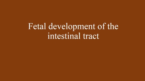 Thumbnail for Embryology of the intestinal tract