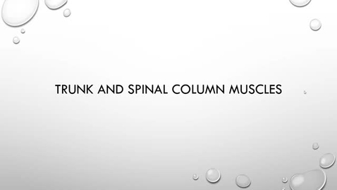 Thumbnail for entry Trunk and Spinal Column Muscles 11/15/21