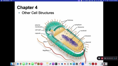 Thumbnail for MICR 2054 Other Cell Structures