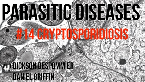 Thumbnail for entry Parasitic Diseases Lectures #14: Cryptosporidiosis - Quiz