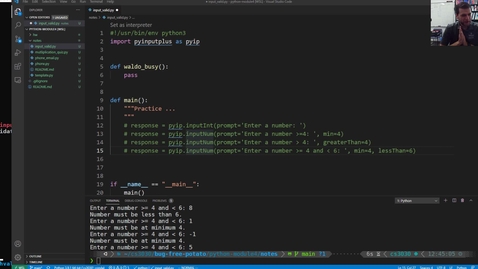 Thumbnail for python_mod4_07_pyinputPlus_example