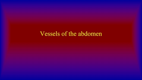 Thumbnail for entry Vessels of the abdomen
