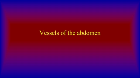 Thumbnail for Vessels of the abdomen