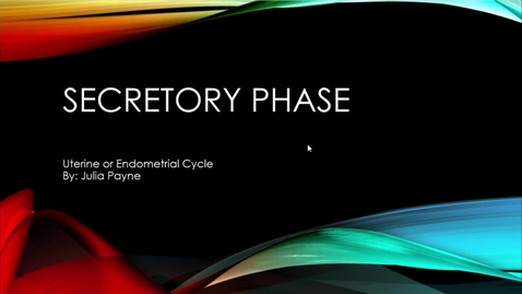 Thumbnail for Secretory Phase Presentation