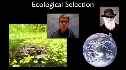Thumbnail for Selection