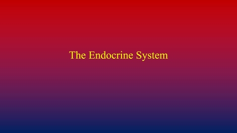 Thumbnail for entry Endocrine System (movies introduction)