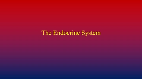 Thumbnail for Endocrine System (movies introduction)