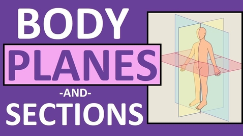 Thumbnail for entry HTHS 1110 F01-03a: Body Planes &amp; Sections Video with Questions