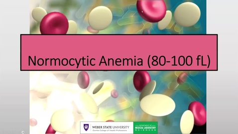 Thumbnail for 8 Part 3 Normocytic Anemia  2025