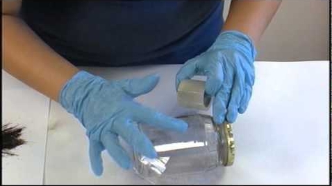 Thumbnail for Developing Latent Fingerprints with Black Powder