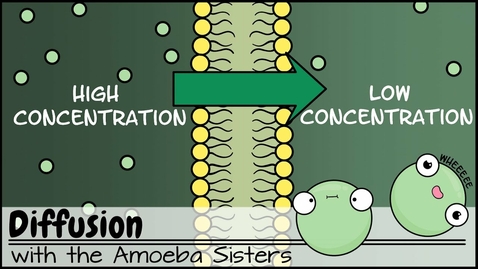 Thumbnail for HTHS 1110 F02-09: Diffusion Video with Question