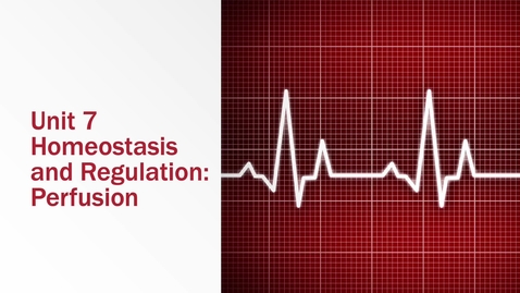 Thumbnail for Cardiac Inflammatory disorders 2