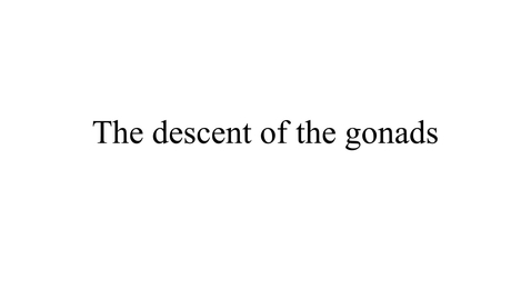 Thumbnail for The descent of the gonads