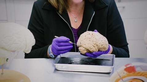 Thumbnail for CoSBS_Neuroscience Intro