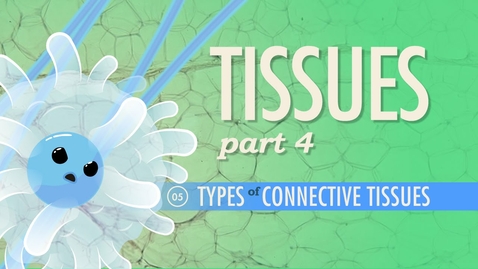 Thumbnail for entry HTHS 1110 F07-07: Tissues #4 Types of Connective Tissue Video with Questions