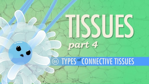 Thumbnail for HTHS 1110 F07-07: Tissues #4 Types of Connective Tissue Video with Questions