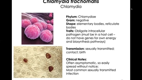 Thumbnail for MICR3154_11-17_Chlamydia_Twing
