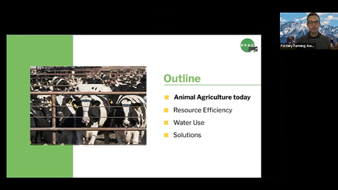 Thumbnail for Eating the Drought: Addressing Animal Agriculture's Environmental Footprint