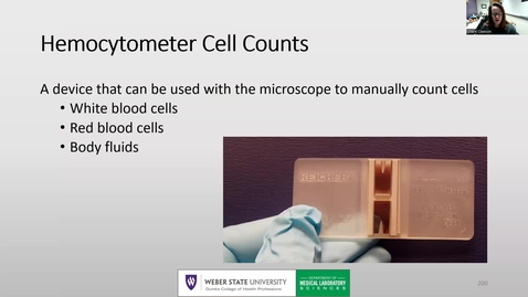 Thumbnail for Hemocytometer and Reticulocyte Count