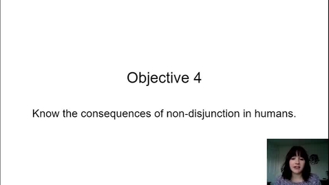 Thumbnail for Objective 4.mp4