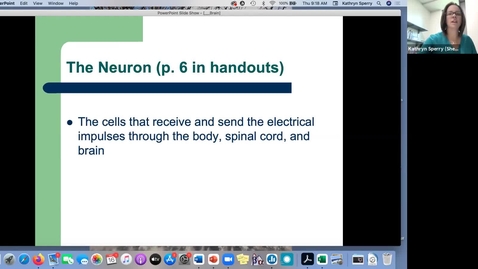 Thumbnail for entry PSY 1010 lecture (thursday sept 16 neuron)