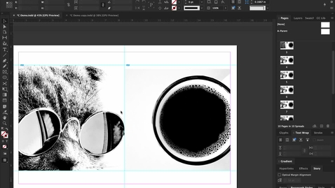 Thumbnail for Printing Final Booklet
