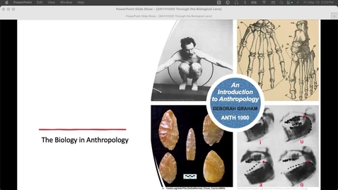 Thumbnail for ANTH1000 Through the Biological Lens