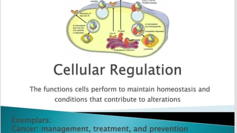 Thumbnail for entry Unit 11 PowerPoint Review (Part I)