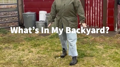 Thumbnail for what'sinmybackyard