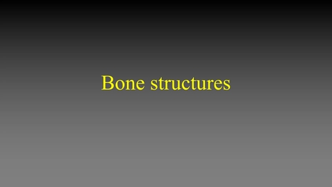 Thumbnail for entry Bone structures