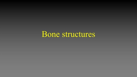 Thumbnail for Bone structures