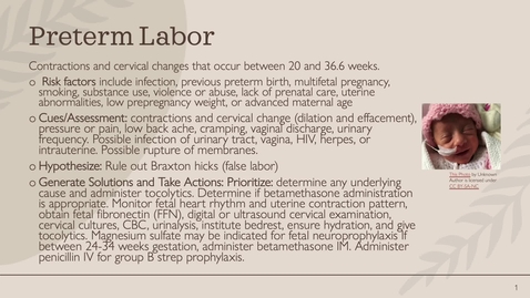 Thumbnail for Preterm labor, PPROM, prolapsed cord, uterine rupture, shoulder dystocia .mp4