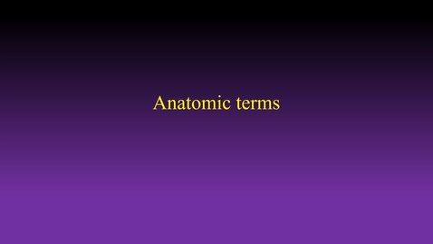 Thumbnail for entry Anatomic terminology hybrid (Fall 2022)