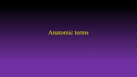 Thumbnail for Anatomic terminology hybrid (Fall 2022)