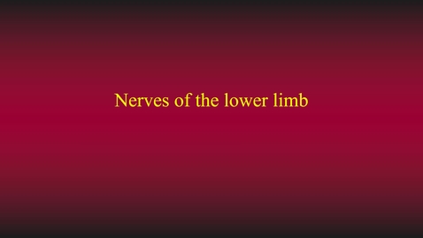 Thumbnail for Lower limb nerves