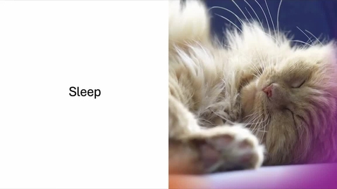 Thumbnail for PSY2710online_sleep2